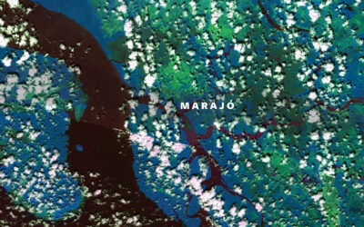 Publica&ccedil;&atilde;o Maraj&oacute;