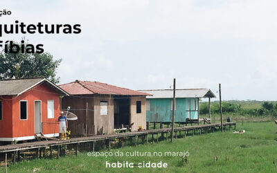 Publica&ccedil;&atilde;o Arquiteturas Anf&iacute;bias &ndash; Oficina-Viagem Maraj&oacute;