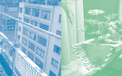 Publica&ccedil;&atilde;o jardins filtrantes