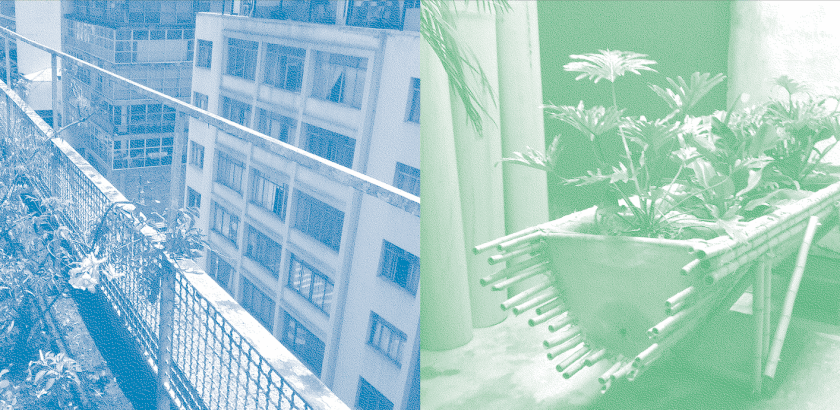 Publica&ccedil;&atilde;o jardins filtrantes